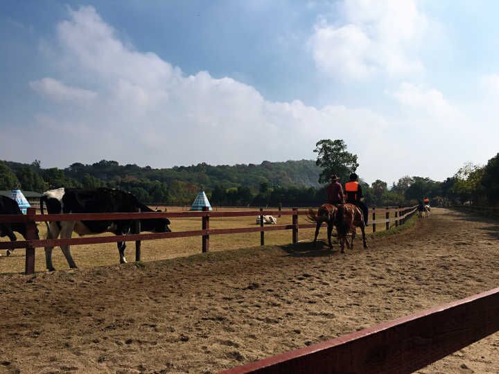 尊凯实业·(中国区)集团公司官网