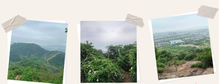 尊凯实业·(中国区)集团公司官网